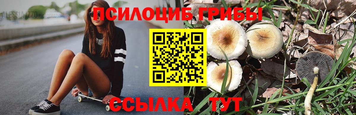 Галлюциногенные грибы Cubensis  Вход с VPN  Псилоцибиновые грибы ЛСД  Лобня 