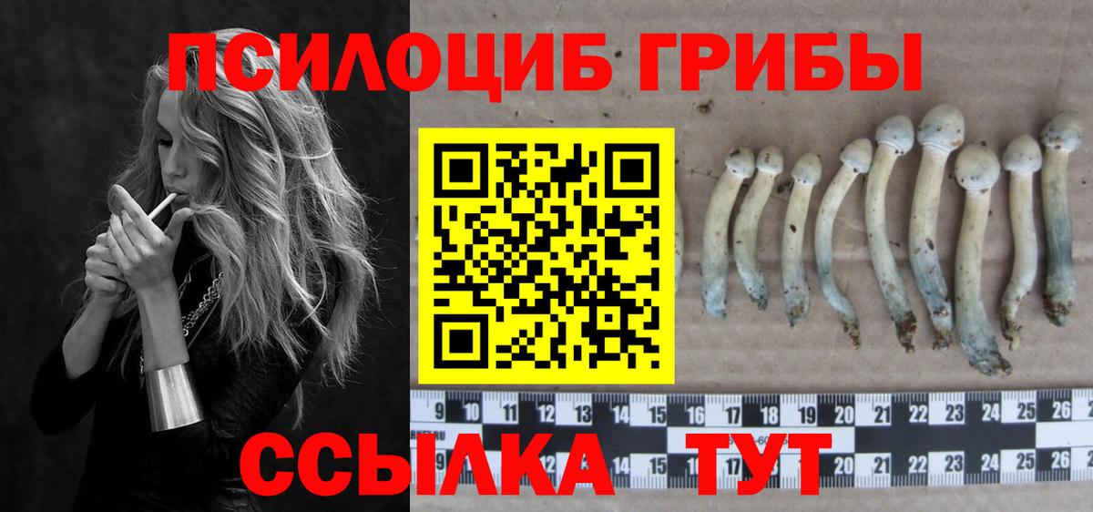 Псилоцибиновые грибы MAGIC MUSHROOMS Лобня